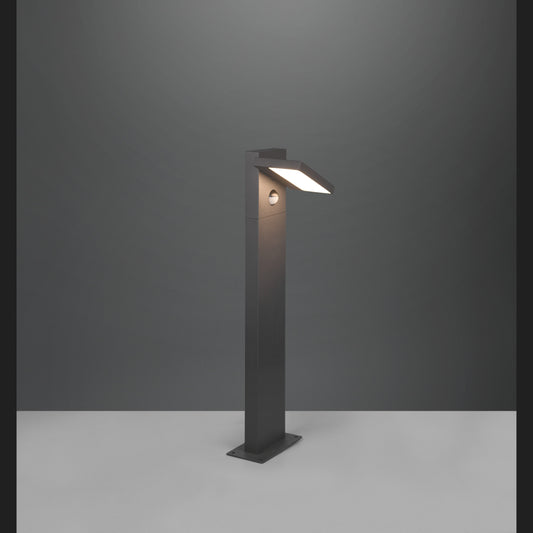HORTON Pole (C) - Anthracite