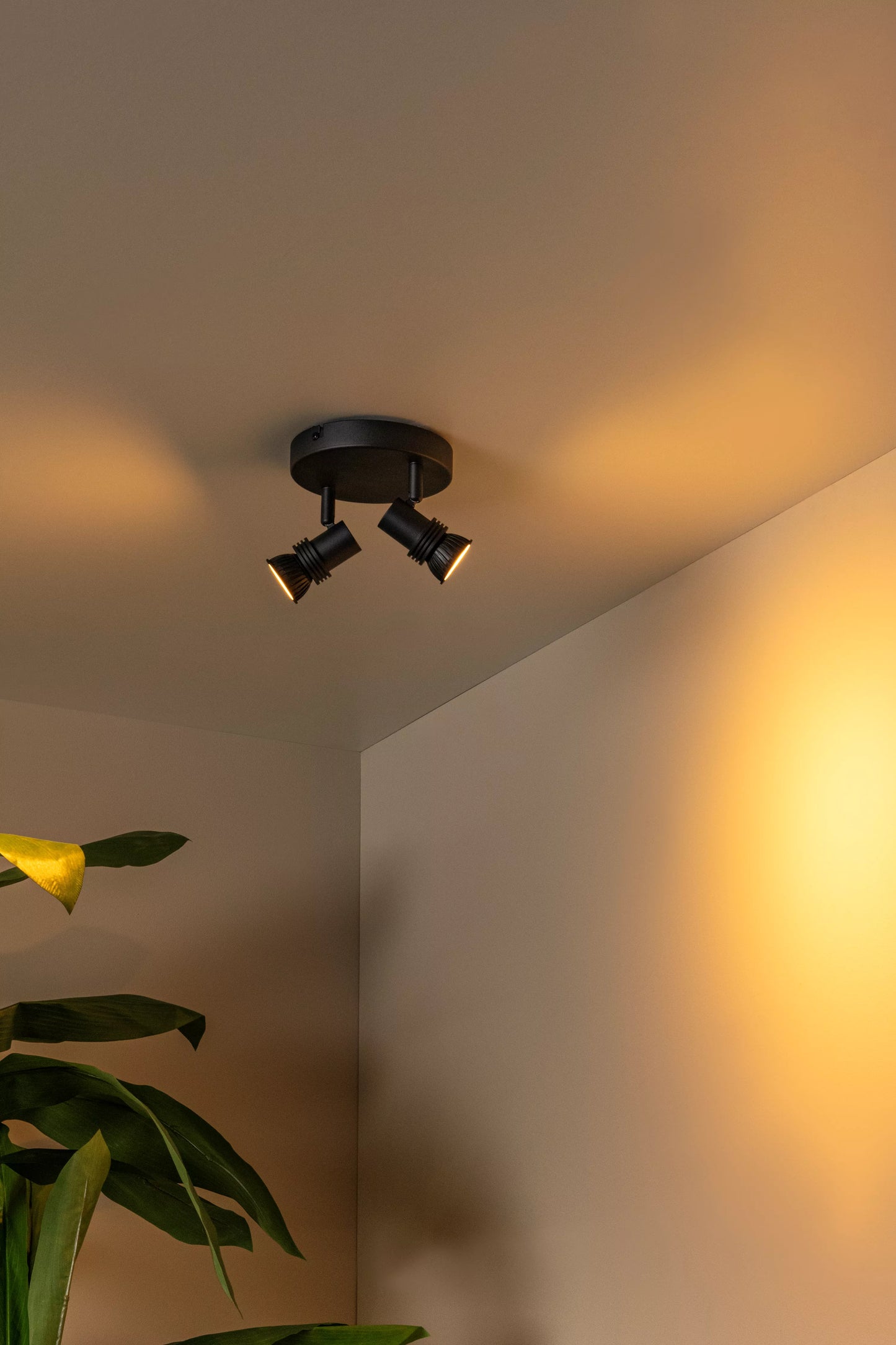 Lucide KIANTI - Ceiling spotlight - Ø 15 cm - 2xGU10 - Black
