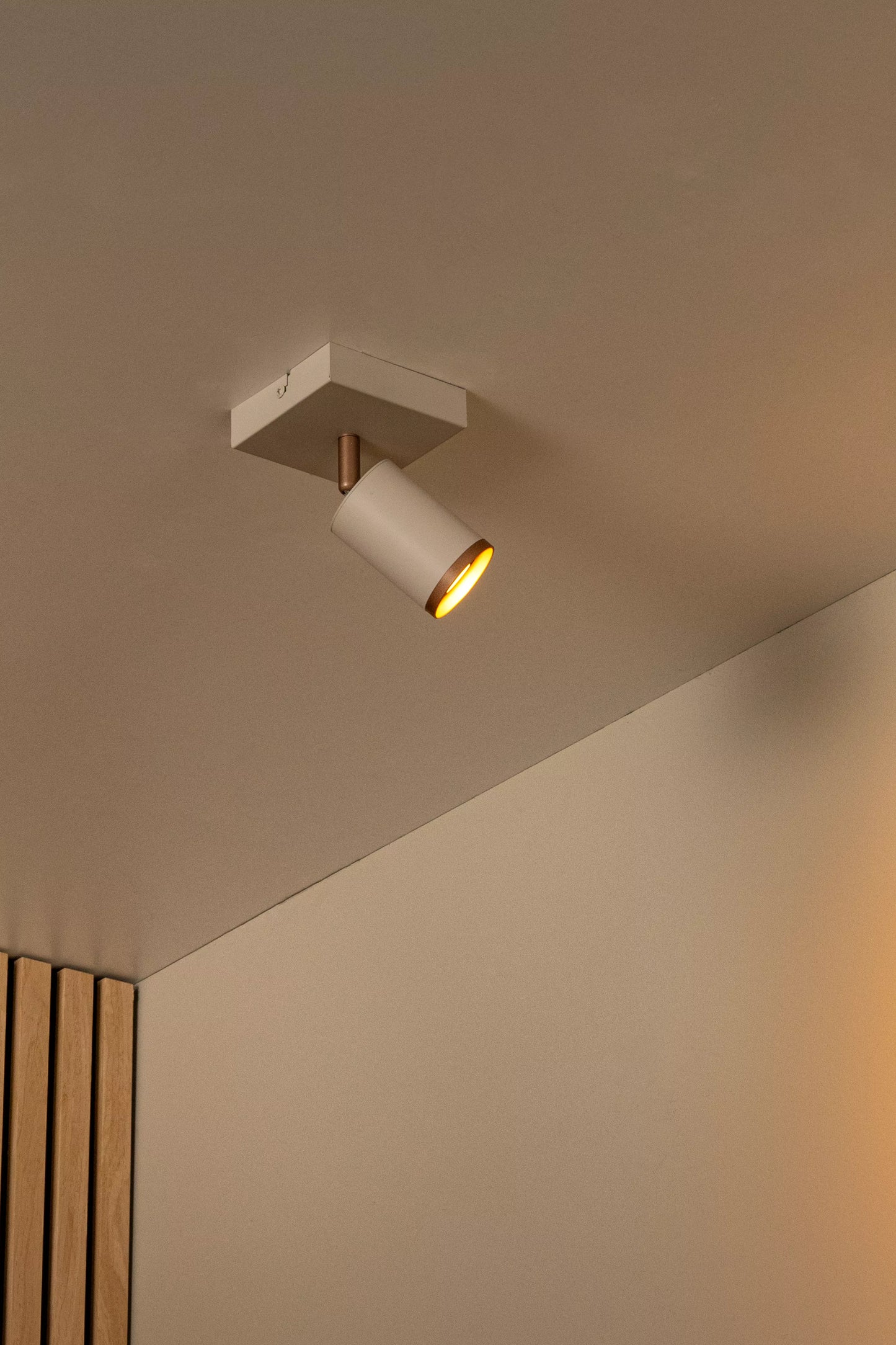 Lucide REGINA - Ceiling spotlight - 1xGU10 - Taupe | Essential