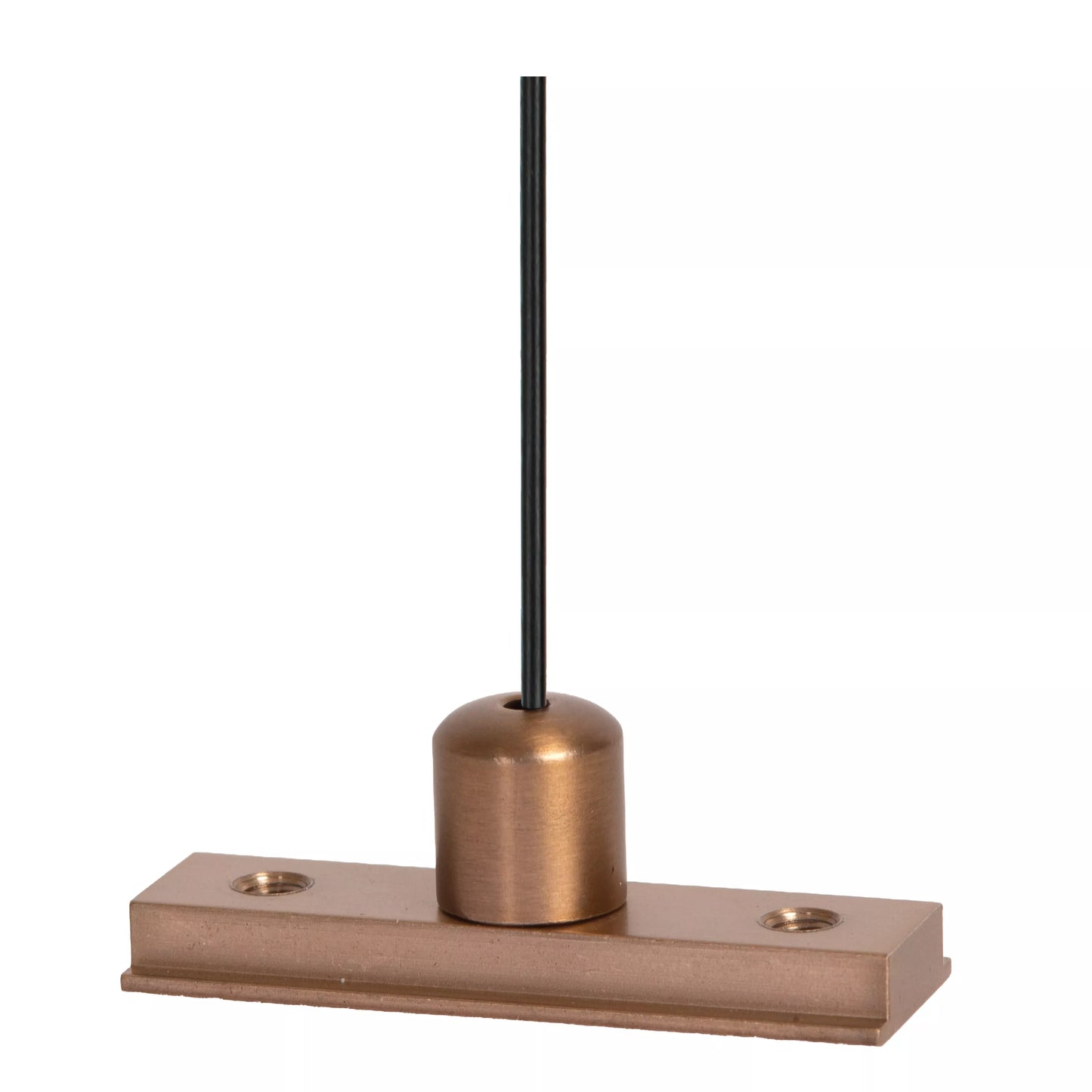 Lucide Premium LINIAL Suspension cable - 1-Circuit lighting system - Smart - 48V Track - Champagne