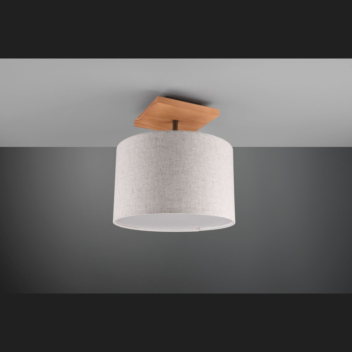 Elmau  - Ceiling lamp - White - Trio
