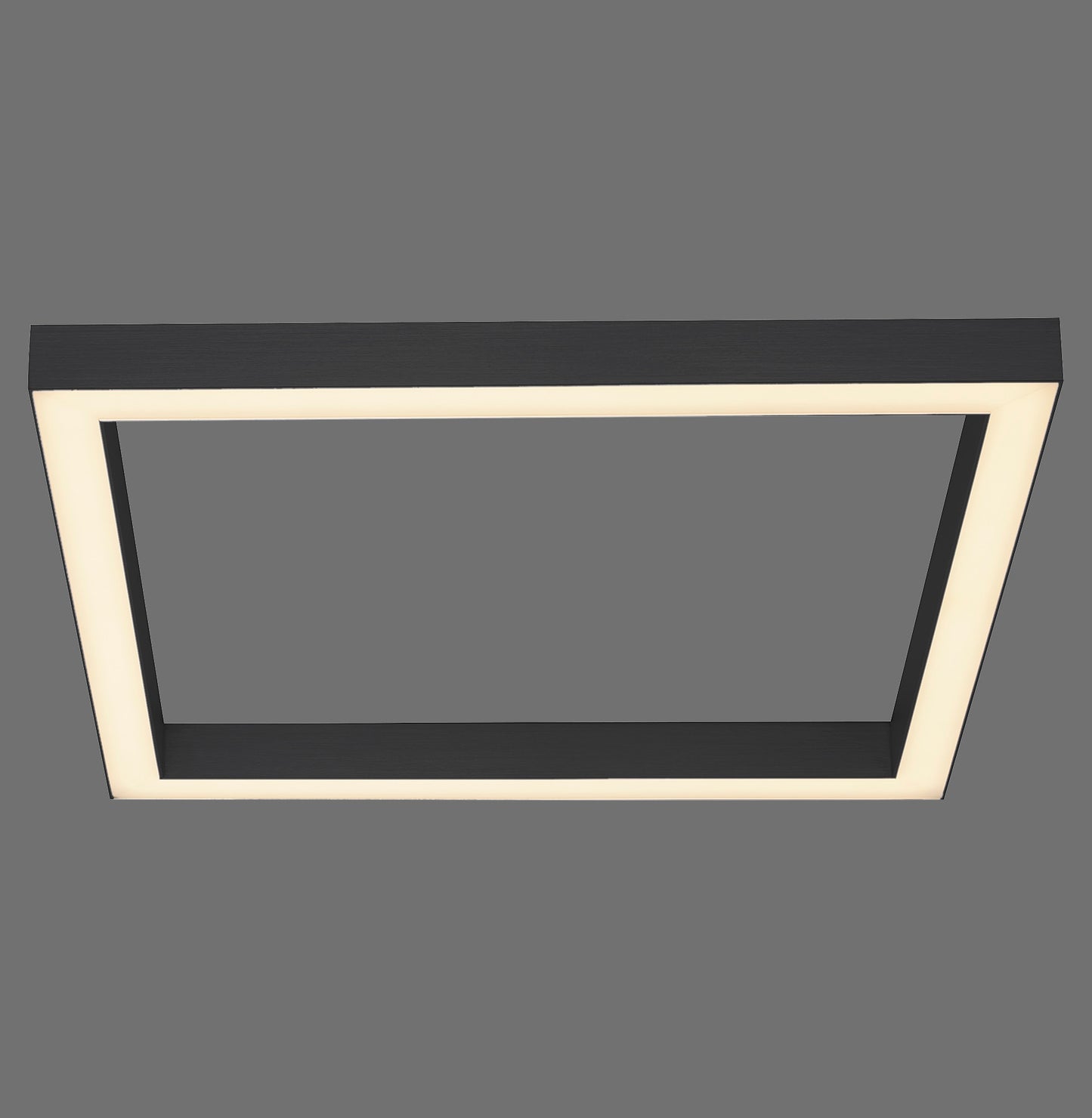 Pure Lines Square - Ceiling Light - Anthrazit - By Paul Neuhaus - (6022-13)