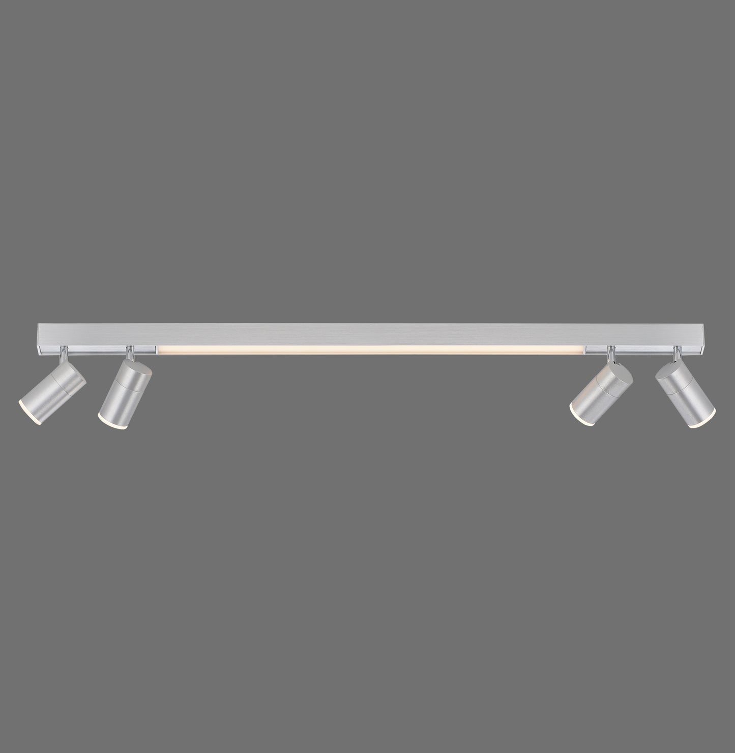 Pure Lines Spot - Ceiling Light - Aluminium - By Paul Neuhaus - (6121-95)