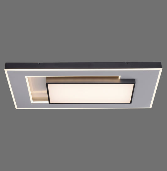 Q-Alta - Ceiling Light - Black - By Paul Neuhaus - (6125-18)