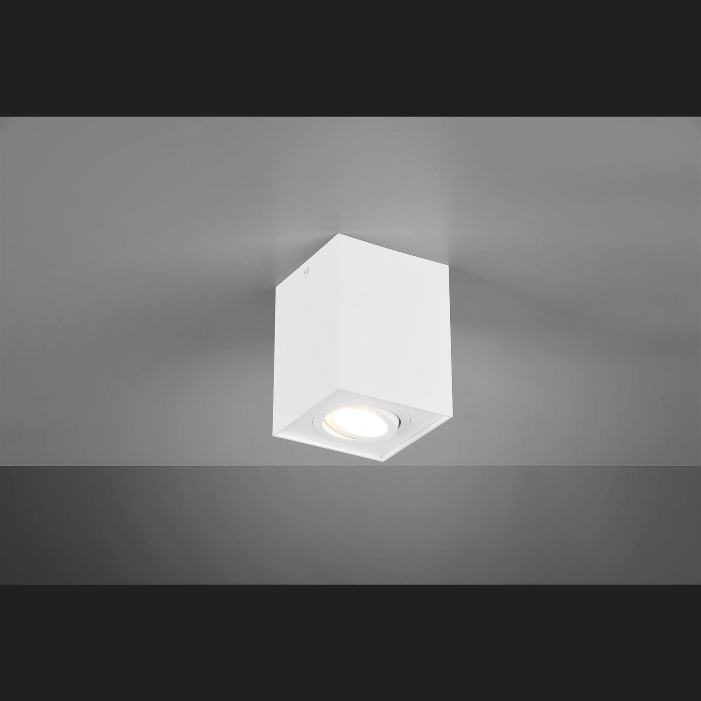 Biscuit  - Ceiling lamp - White Matt - Trio