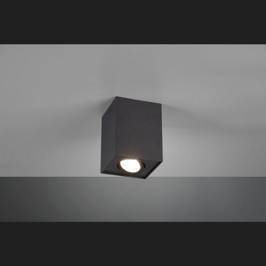 Biscuit  - Ceiling lamp - Black Matt - Trio