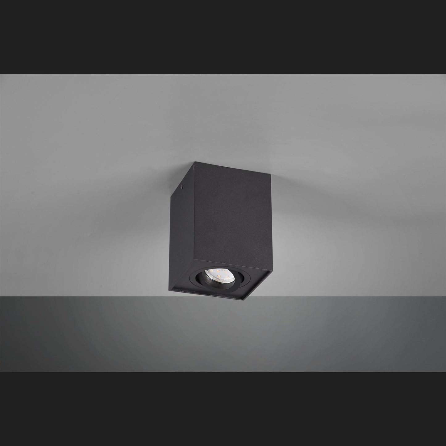 Biscuit  - Ceiling lamp - Black Matt - Trio