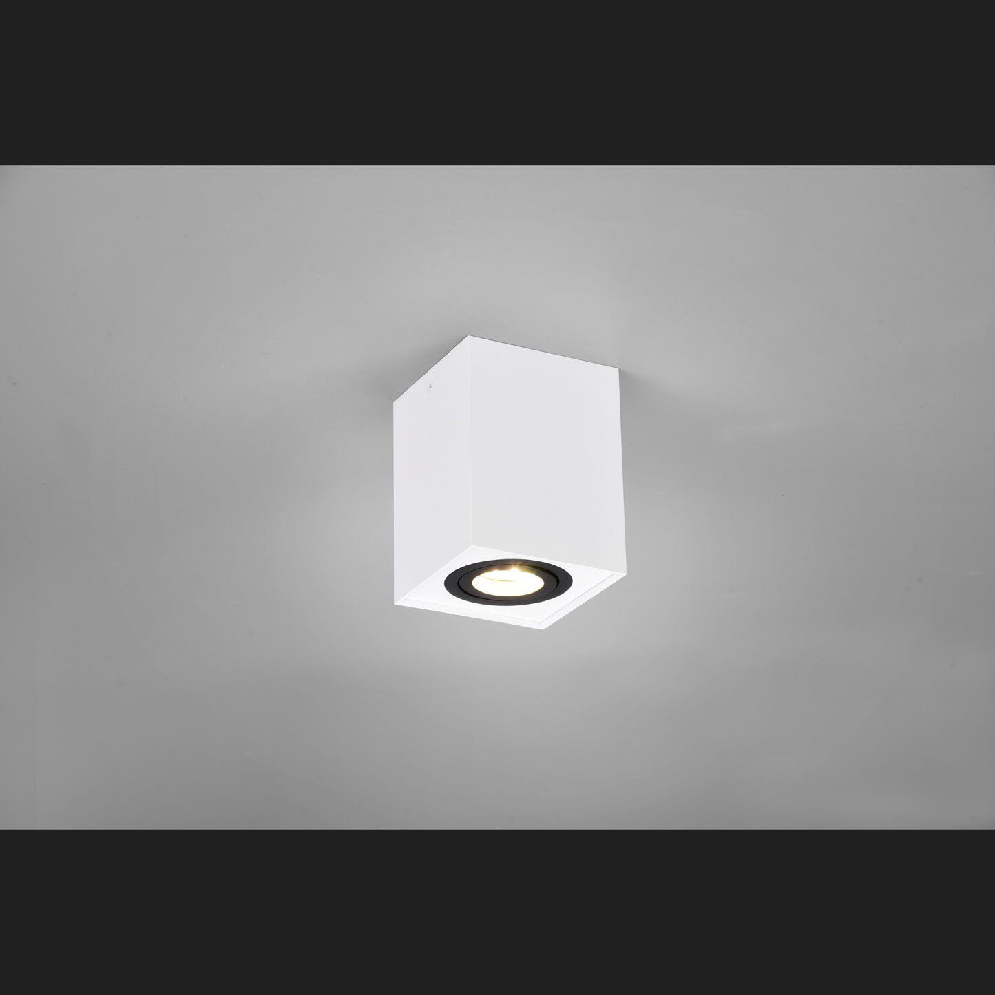 Biscuit - Ceiling Light - Black White - Trio - 613000134