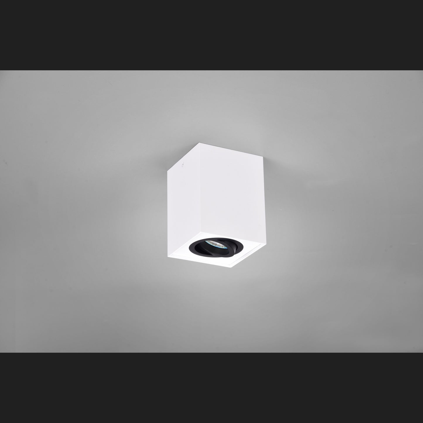 Biscuit - Ceiling Light - Black White - Trio - 613000134