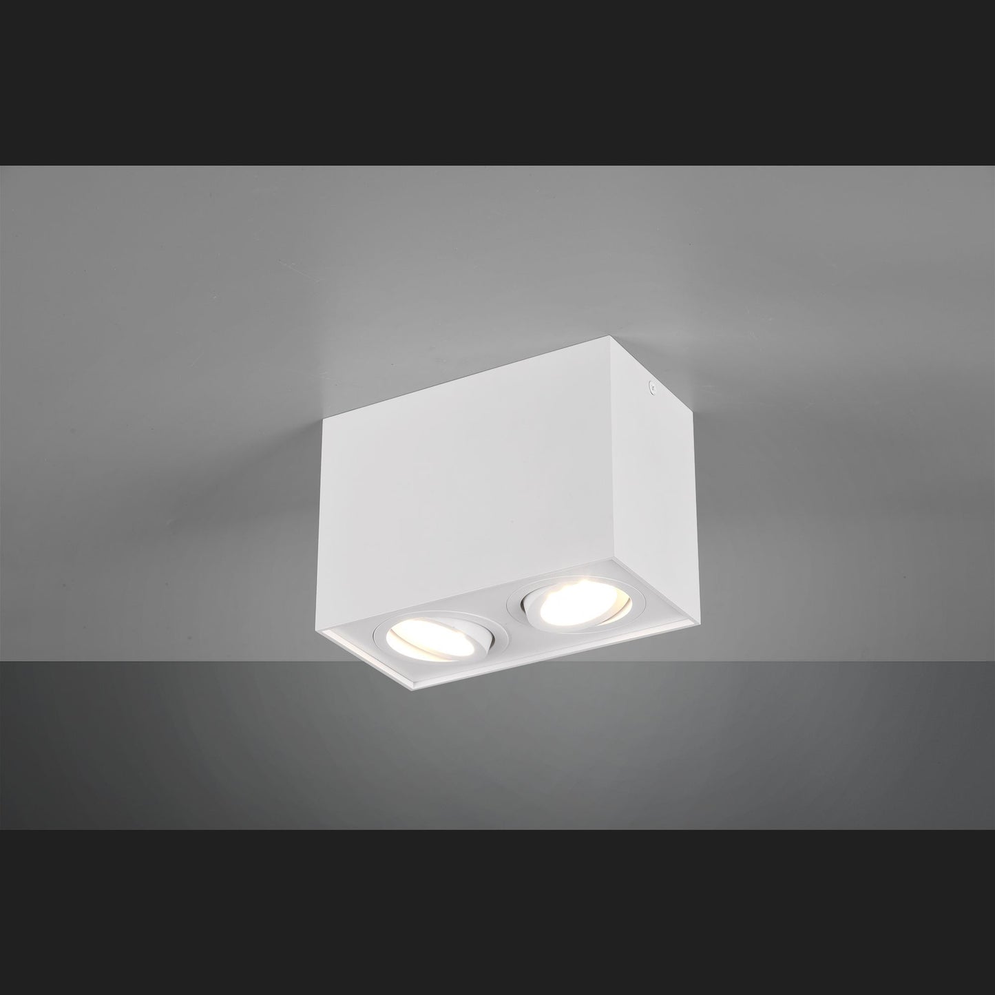 Biscuit  - Ceiling lamp - White Matt - Trio