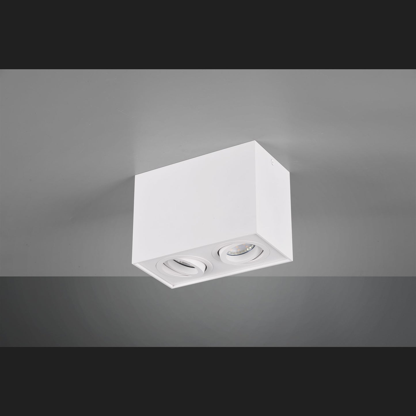 Biscuit  - Ceiling lamp - White Matt - Trio