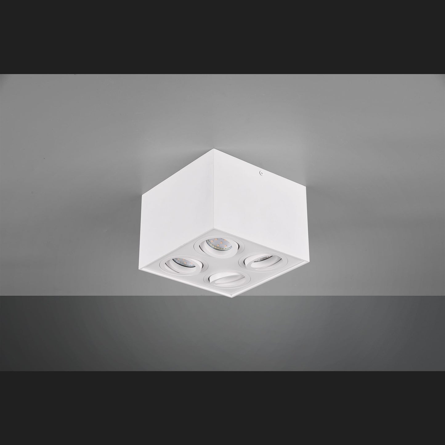 Biscuit  - Ceiling lamp - White Matt - Trio