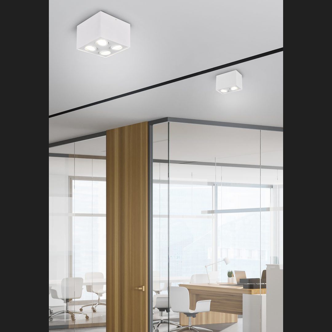 Biscuit  - Ceiling lamp - White Matt - Trio