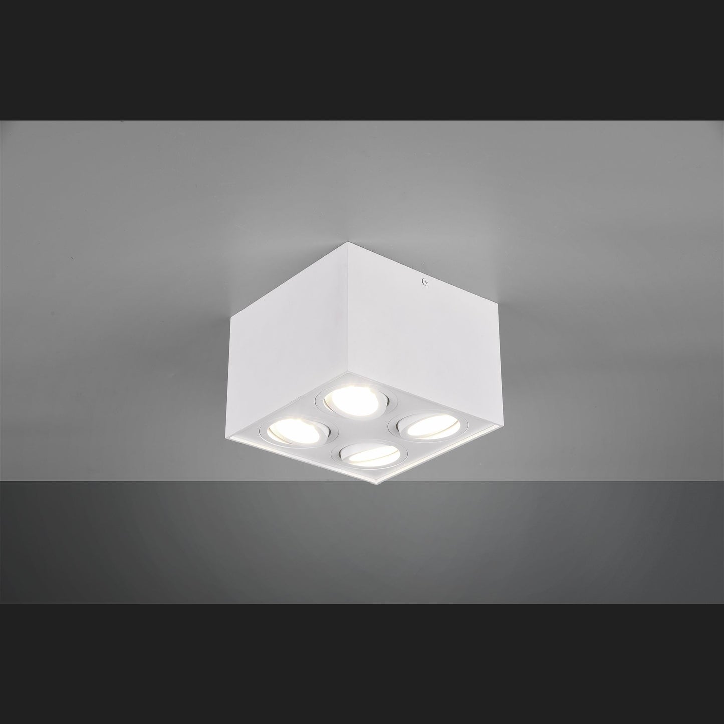 Biscuit  - Ceiling lamp - White Matt - Trio