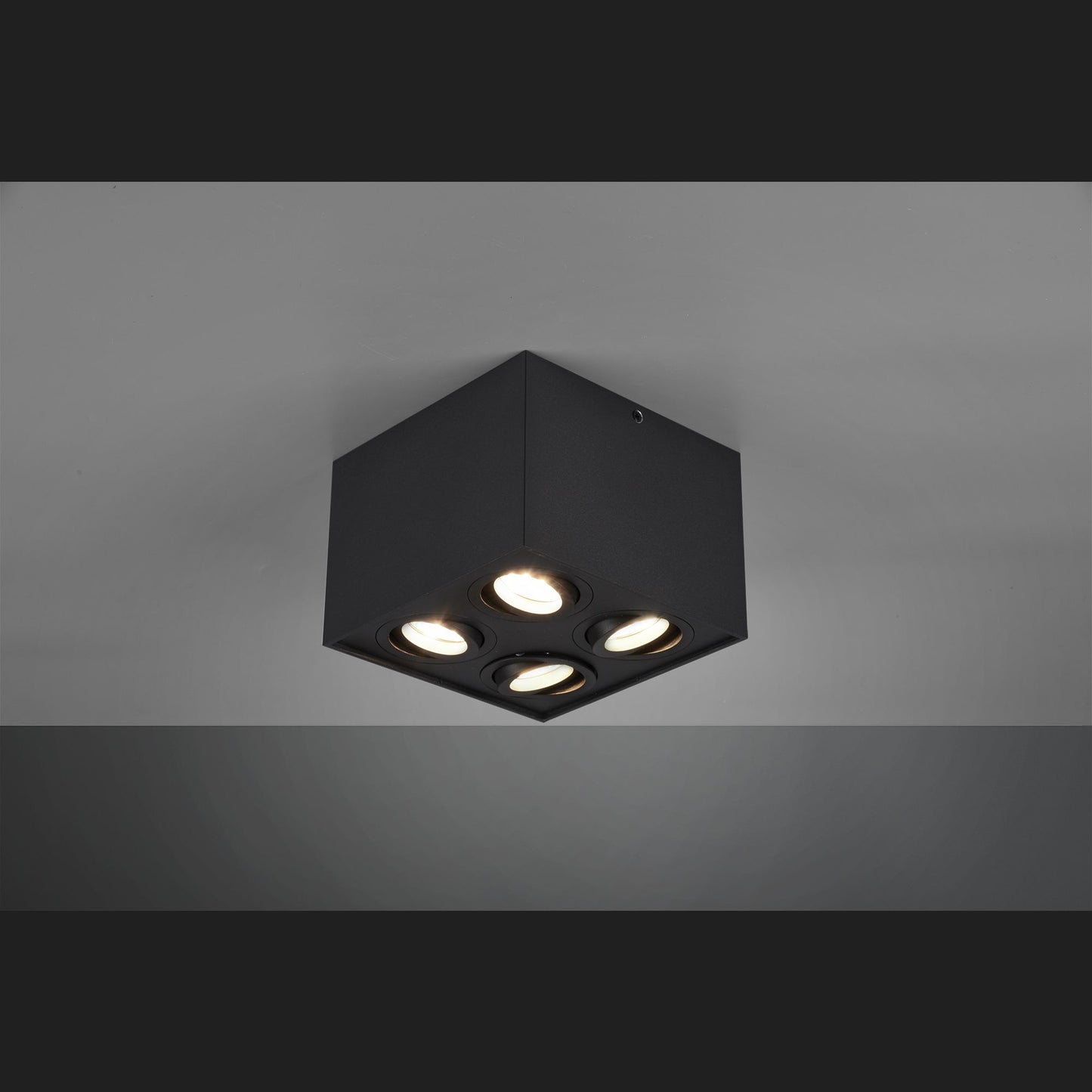 Biscuit  - Ceiling lamp - Black Matt - Trio