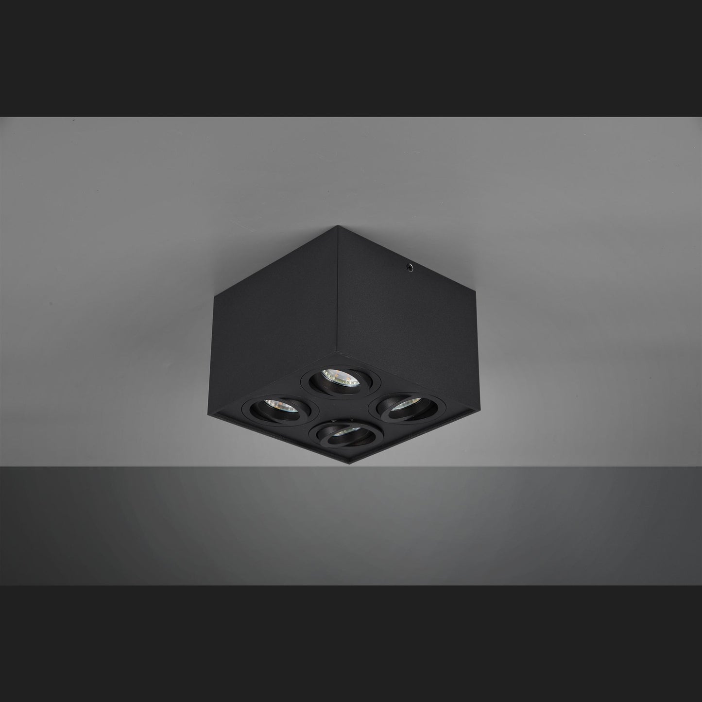 Biscuit  - Ceiling lamp - Black Matt - Trio