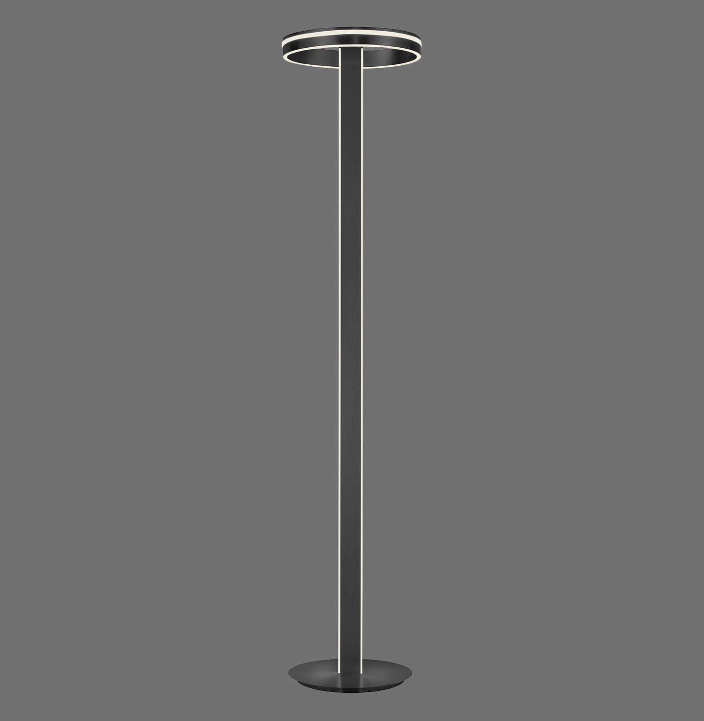 Q-Vito - Floor Lamp - Anthrazit - By Paul Neuhaus - (618-13)