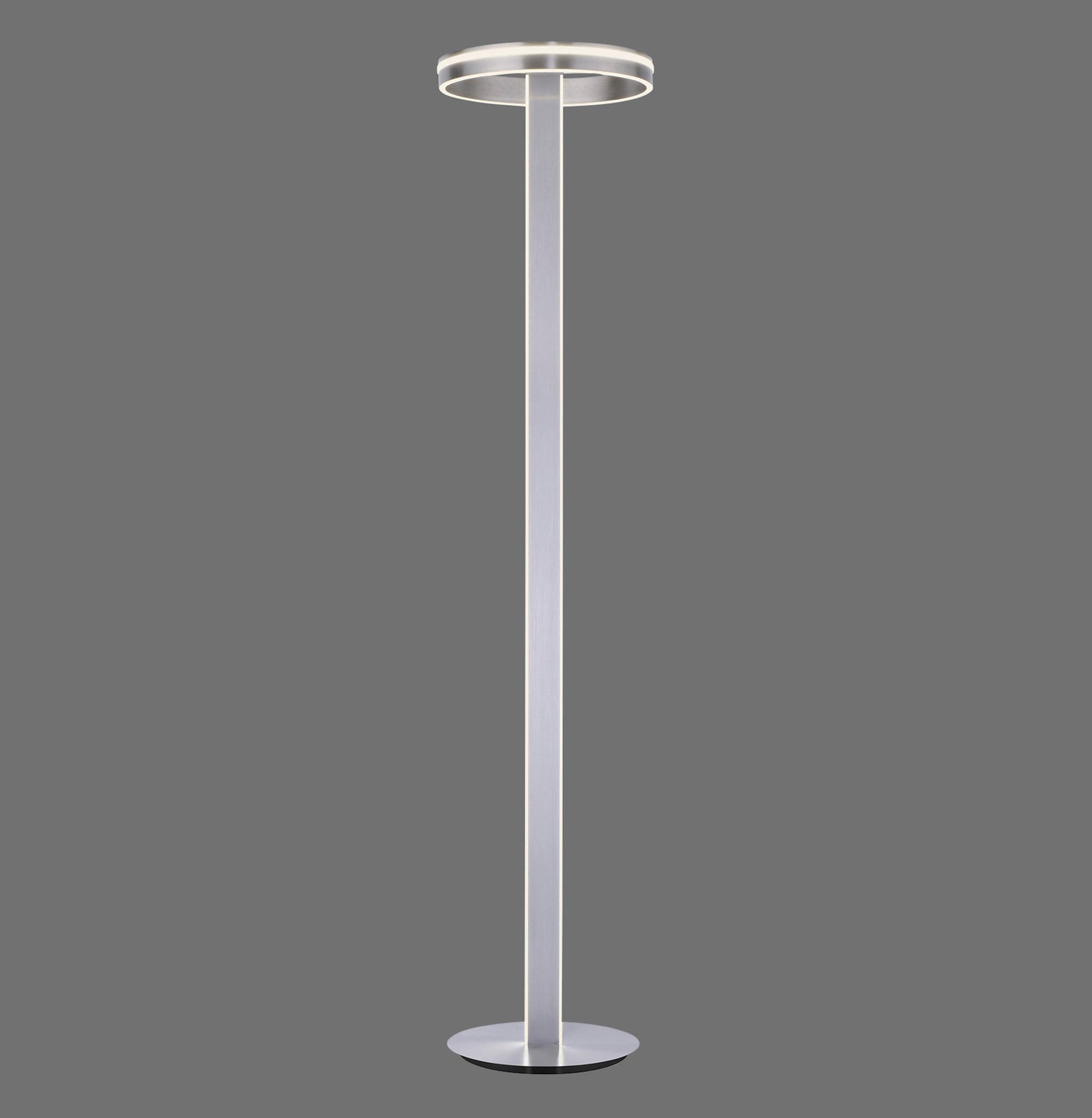 Q-Vito - Floor Lamp - Steel - By Paul Neuhaus - (618-55)