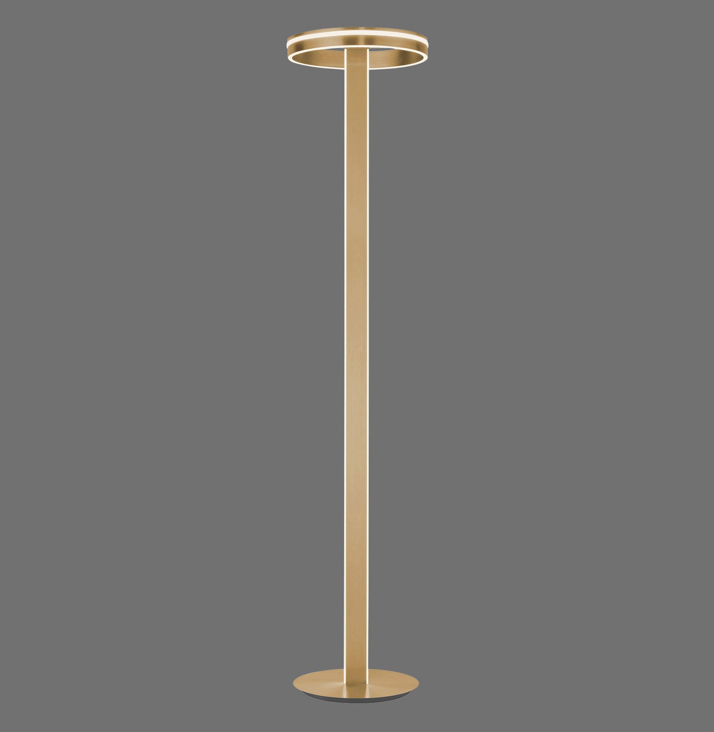 Q-Vito - Floor Lamp - Brass Matt - By Paul Neuhaus - (618-60)