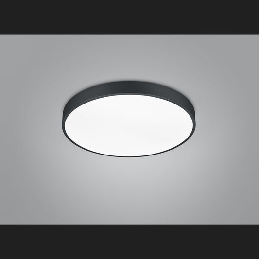 Waco - Ceiling Light - Black Matt - Trio - 627415032