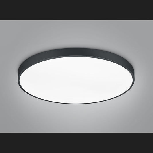 Waco - Ceiling Light - Black Matt - Trio - 627417532