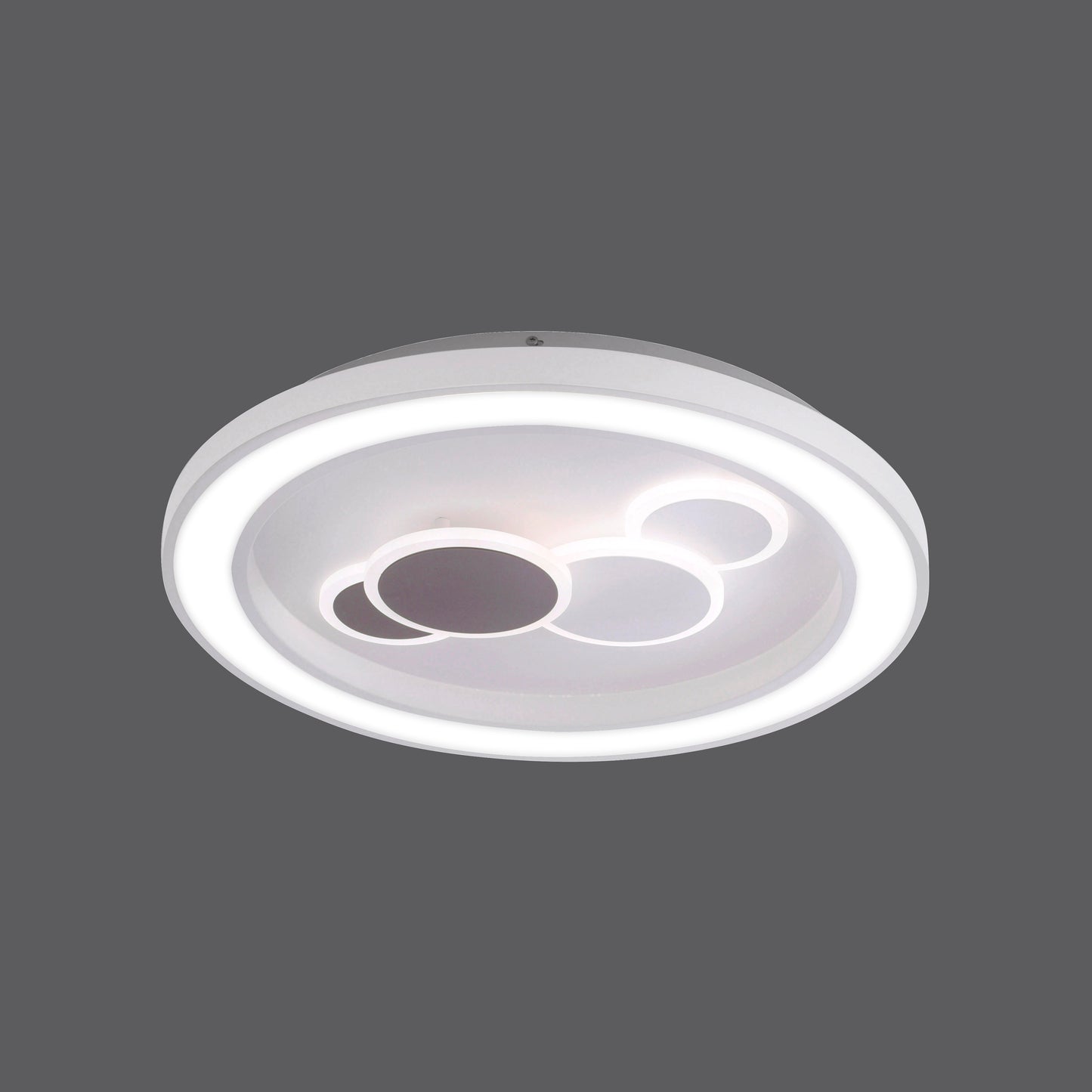 Eliza - Ceiling Light - White - By Paul Neuhaus - (6284-16)