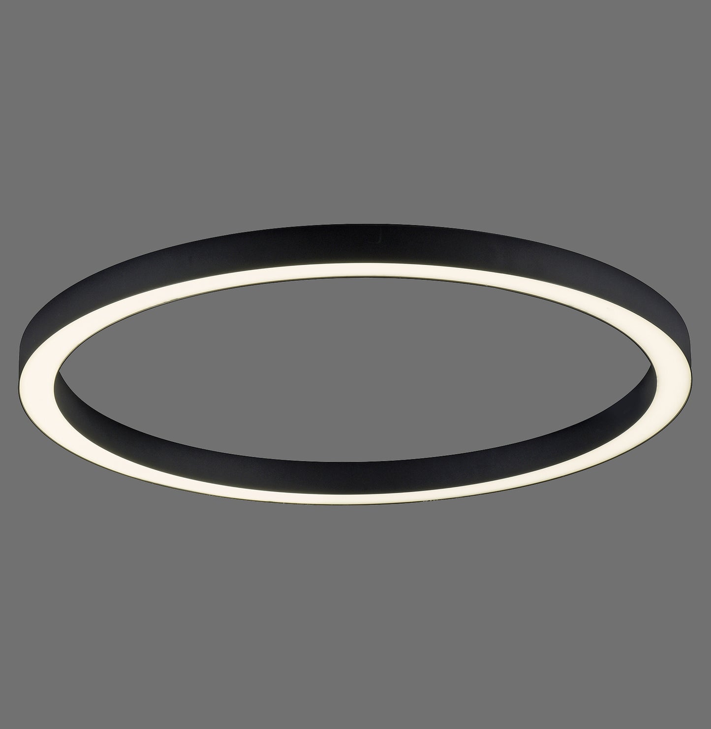 Pure Lines Round - Ceiling Light - Anthrazit - By Paul Neuhaus - (6306-13)