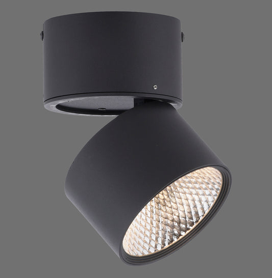 Pure Nola - Recessed & Surface Mounted Light - Black - By Paul Neuhaus - (6451-18)