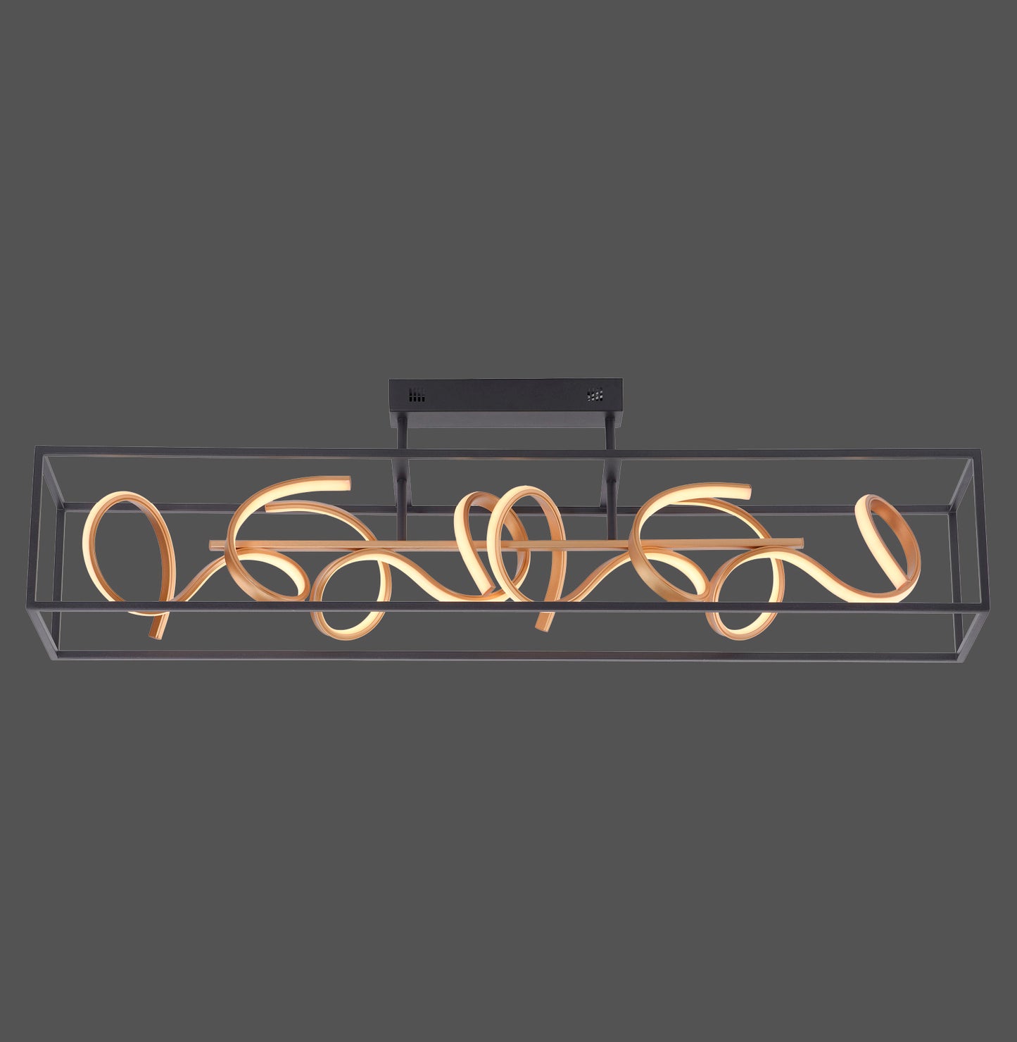 Selina - Ceiling Light - Black - By Paul Neuhaus - (6473-18)