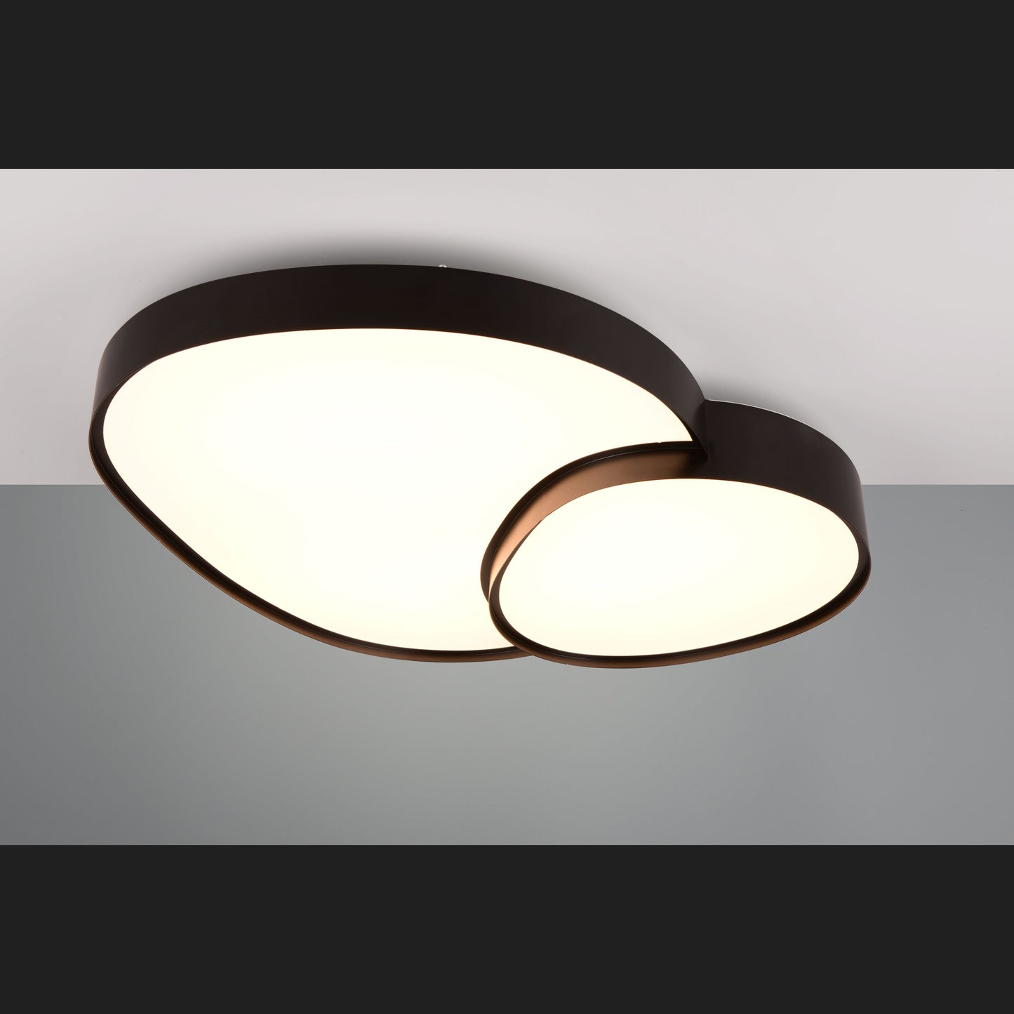 Rise  - Ceiling lamp - Black Matt - Trio