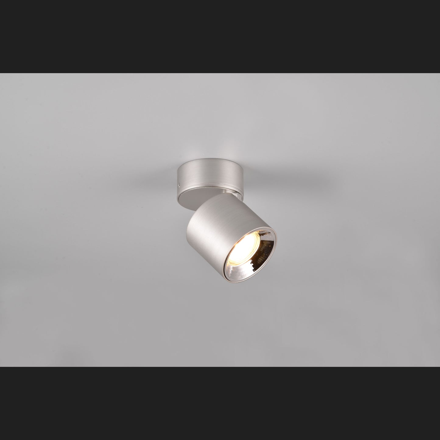 Guayana - Ceiling Light - Nickel Matt - Trio - 651000107