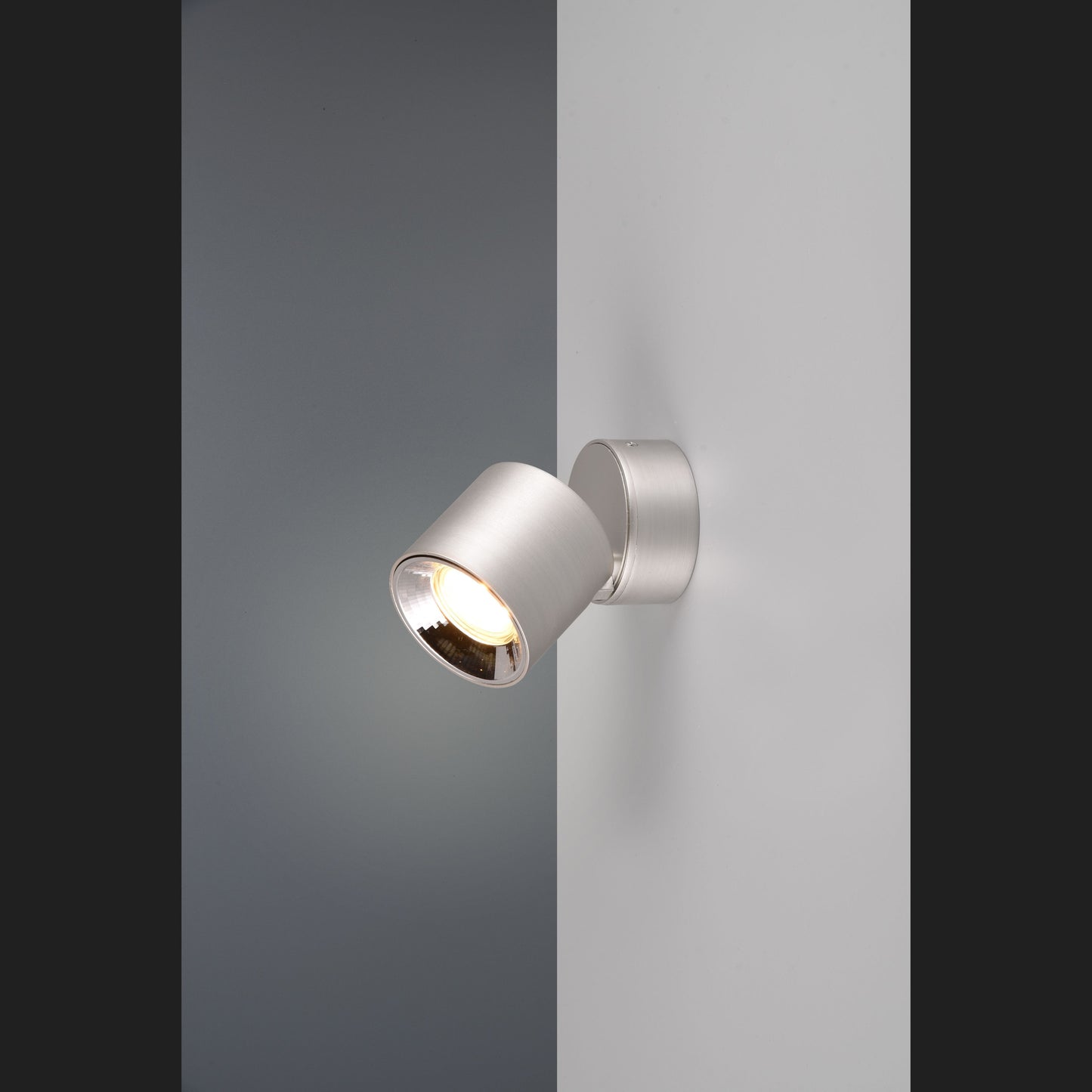 Guayana - Ceiling Light - Nickel Matt - Trio - 651000107