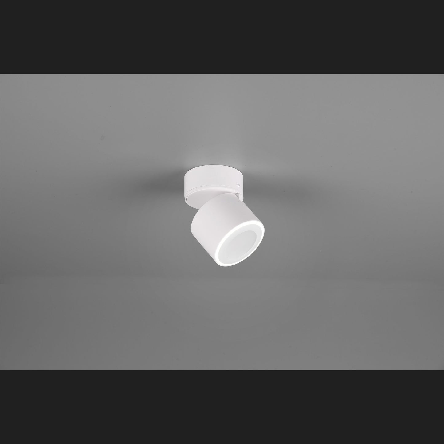 Taurus  - Ceiling lamp - White Matt - Trio