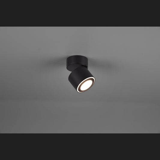 Taurus  - Ceiling lamp - Black Matt - Trio