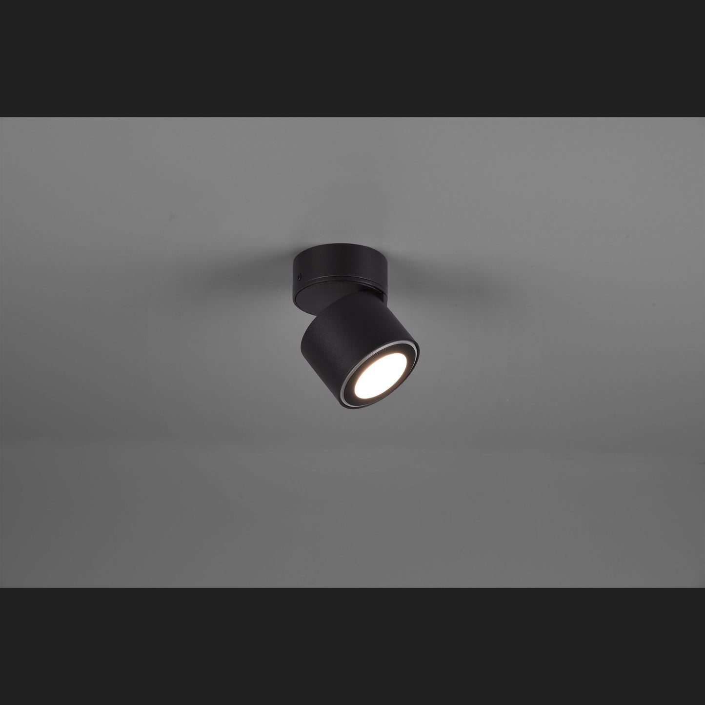 Taurus  - Ceiling lamp - Black Matt - Trio