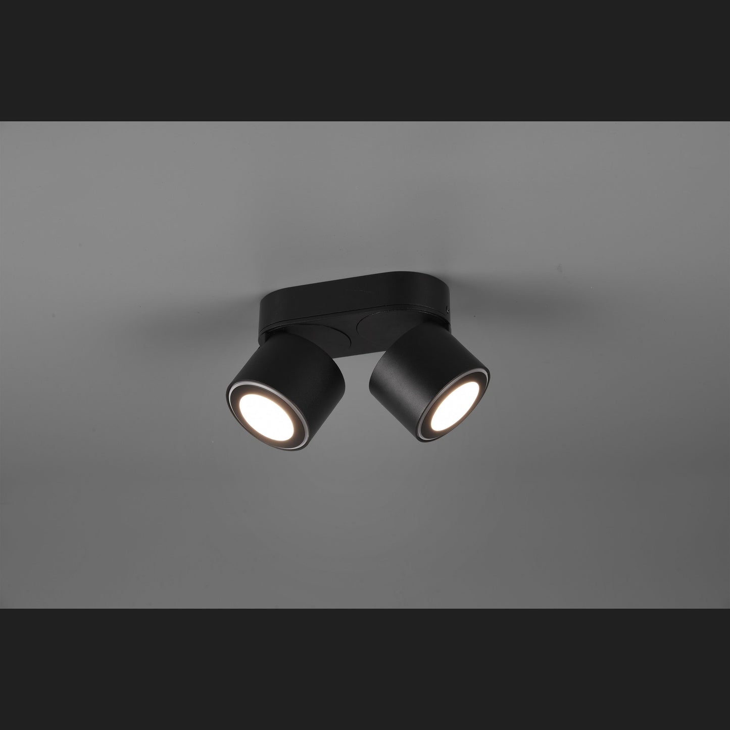 Taurus  - Ceiling lamp - Black Matt - Trio