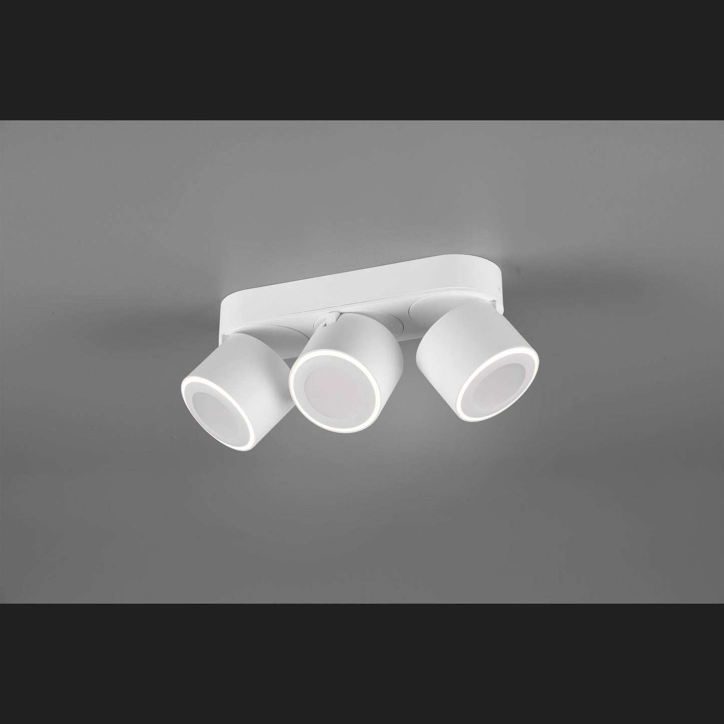 Taurus  - Ceiling lamp - White Matt - Trio