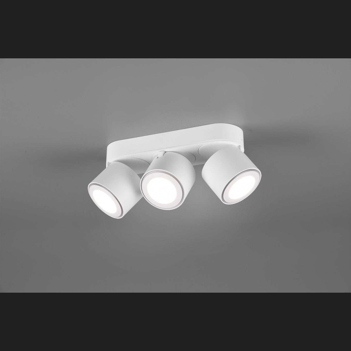 Taurus  - Ceiling lamp - White Matt - Trio