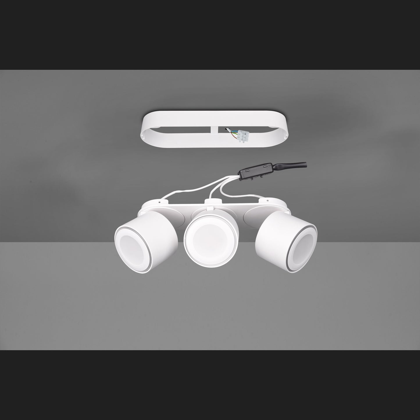 Taurus  - Ceiling lamp - White Matt - Trio