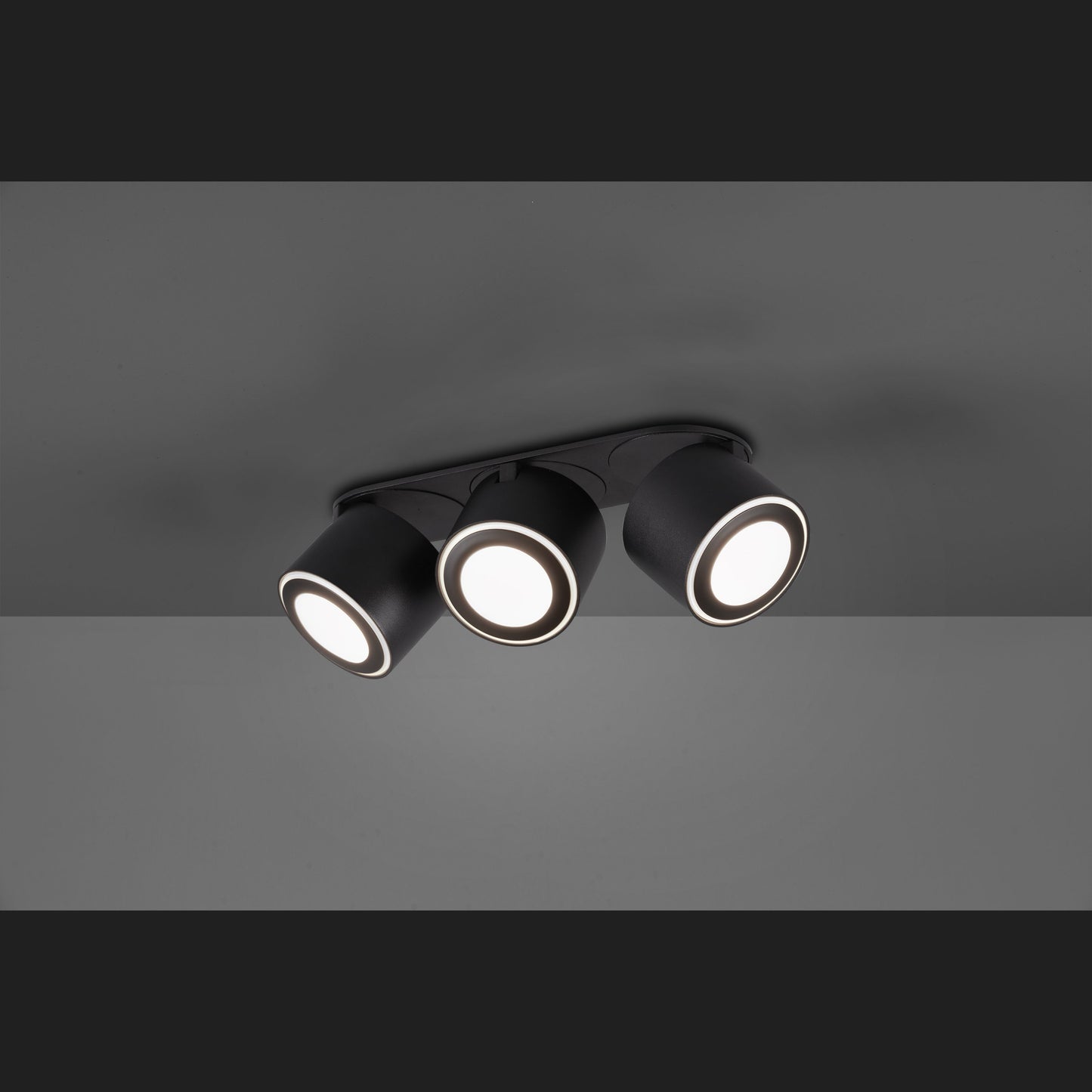 Taurus  - Ceiling lamp - Black Matt - Trio