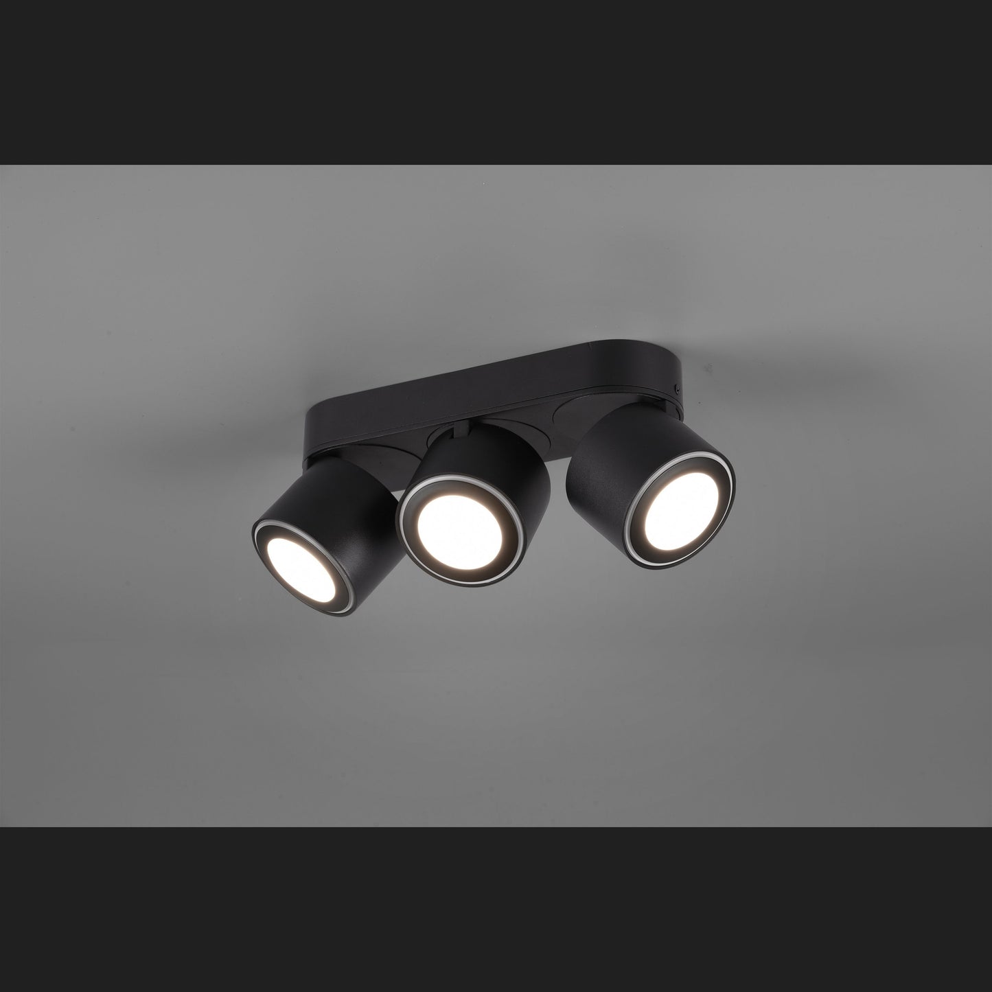 Taurus  - Ceiling lamp - Black Matt - Trio