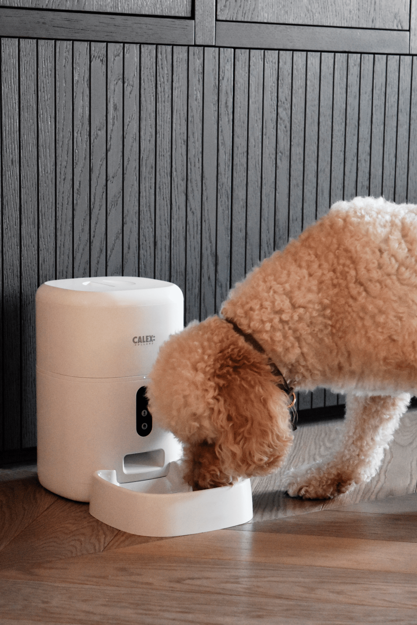 Calex Smart Petfeeder - with Camera