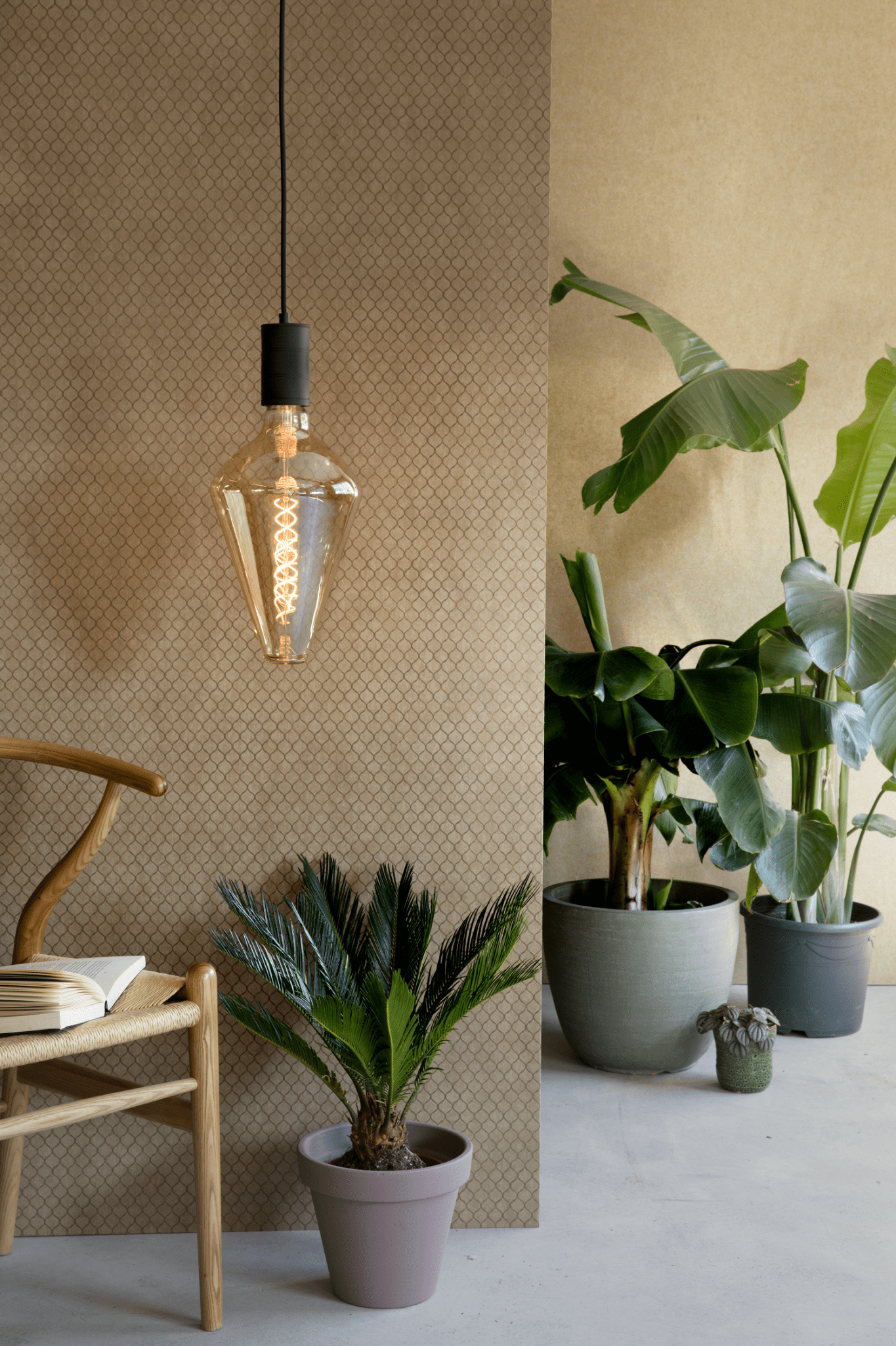 Calex XXL Vienna LED Bulb Gold - E27 - 4W - Dimmable