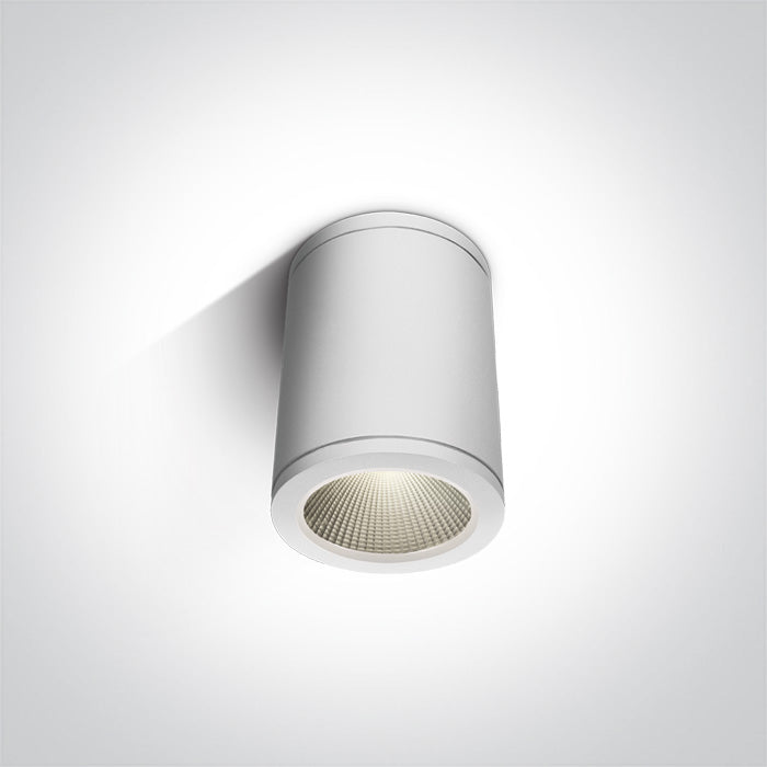 Outdoor Ceiling Cylinders Die cast