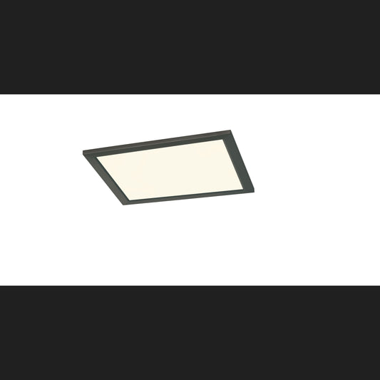 Phoenix - Ceiling Light - Black Matt - Trio - 674013032