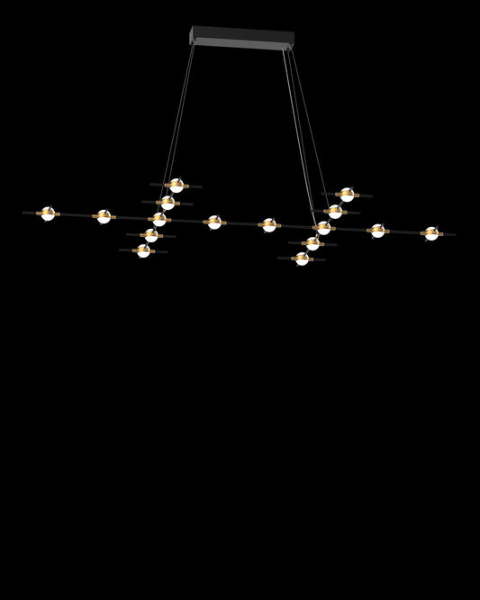 Molecular 16Lt Pendant Black With Gold Model F Light