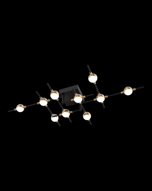 Molecular 10Lt Ceiling Black With Gold Model E Light