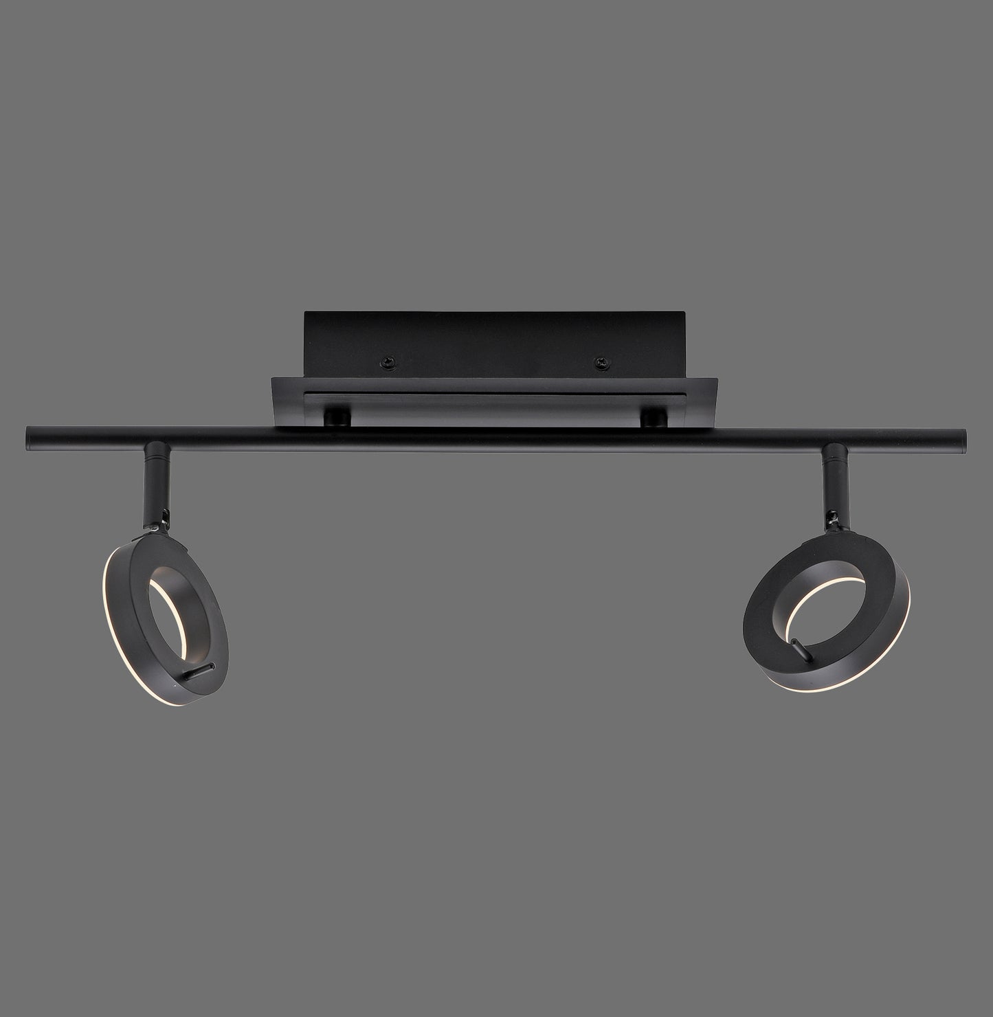 Sileda - Ceiling Light - Anthrazit - By Paul Neuhaus - (6781-13)