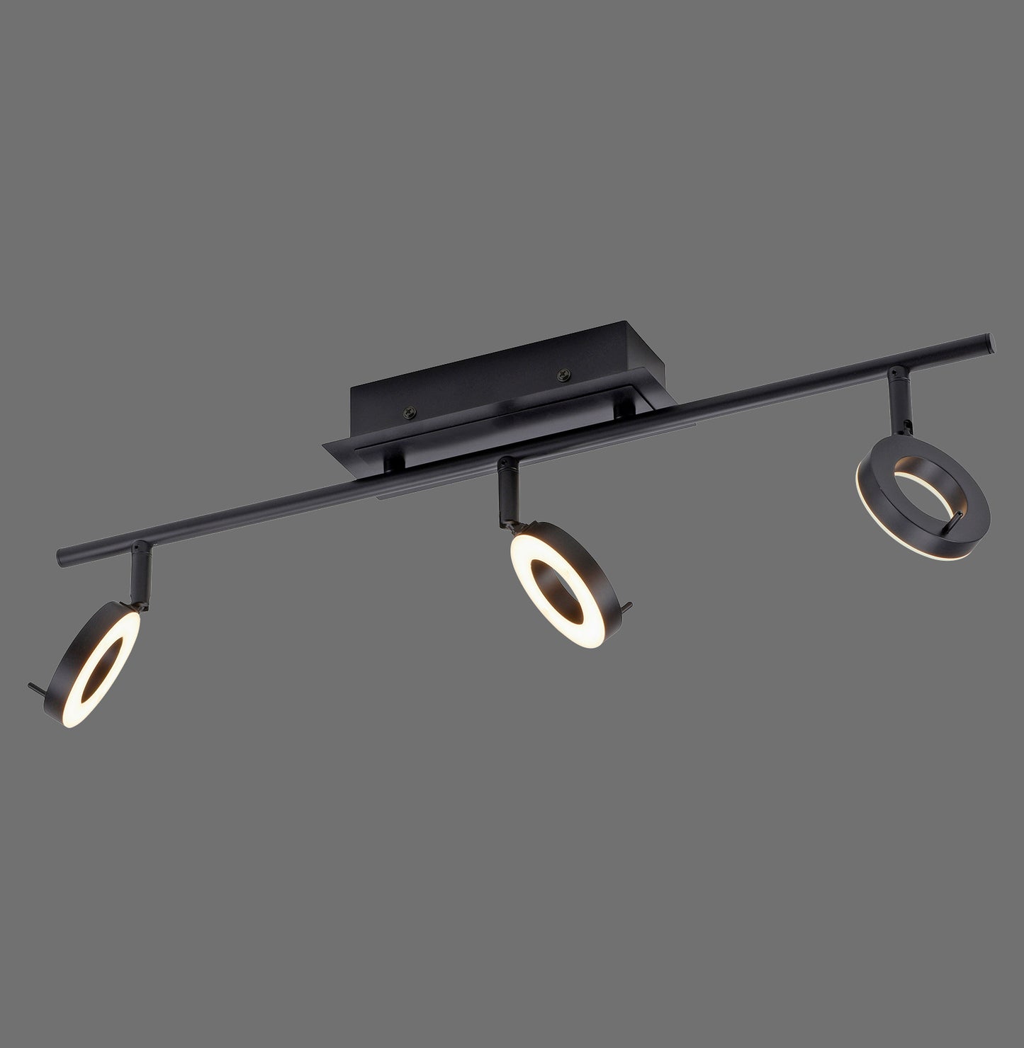 Sileda - Ceiling Light - Anthrazit - By Paul Neuhaus - (6785-13)