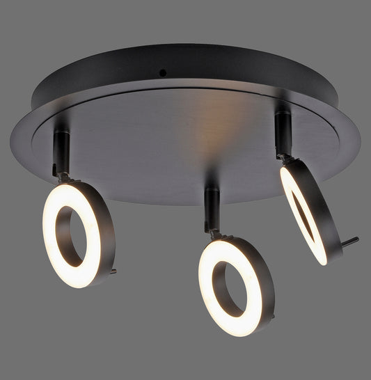 Sileda - Ceiling Light - Anthrazit - By Paul Neuhaus - (6788-13)